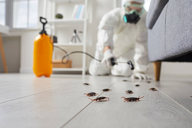 Trusted Fumigation Services service in Great Neck, NY - Nex Pest Control